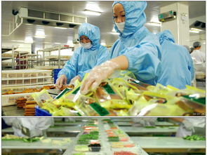 中百生鮮工廠素材集 高清MP4模板與圖文設(shè)計資源下載指南